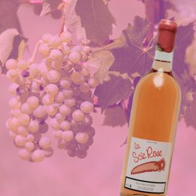 Top 9 des étiquettes de vin les plus originales dispos sur la toile -  Faiseur de Vin