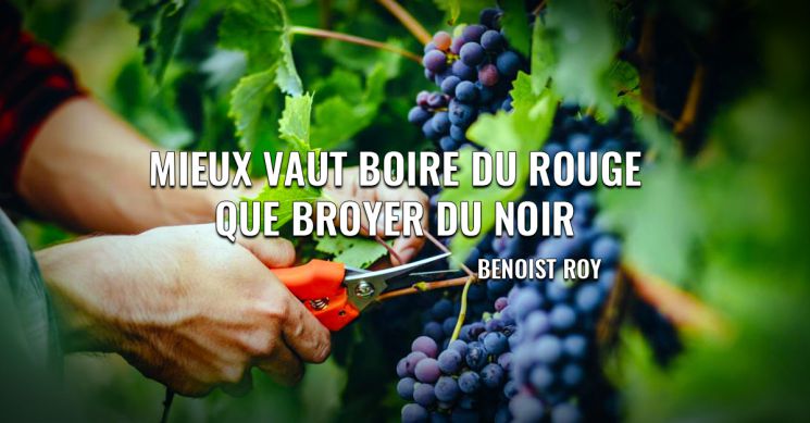 Relais Du Vin Co Citation Et Proverbe Autour Du Vin Relais Du Vin Co Citation Et Proverbe Autour Du Vin